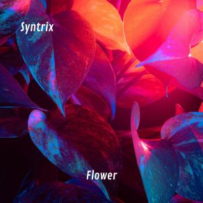 Download track Flower (Radio Edit) Syntrix