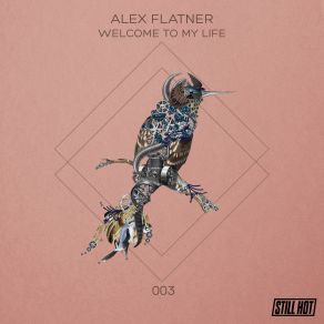 Download track Schizodistel (Original Mix) Alex Flatner