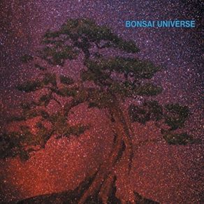 Download track Too Real Bonsai Universe