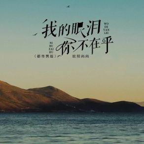 Download track 我的眼泪你不在乎 (辉煌版 伴奏) Banan