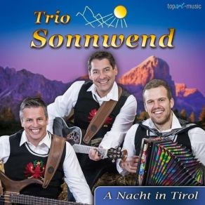 Download track Was Sagsch, Wenn Mir Heit Tanz'n Gehn Trio Sonnwend