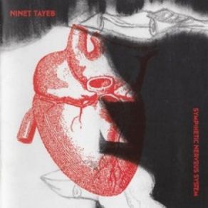 Download track What Are You People Ninet Tayeb (נינט טייב)