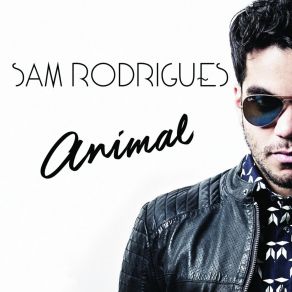 Download track Relief Sam Rodrigues