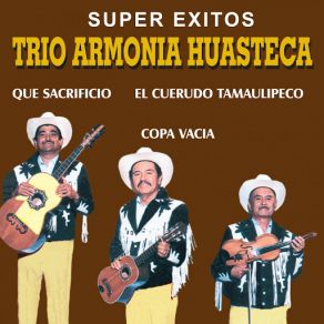 Download track La Negra Cruz Trio Armonia Huasteca