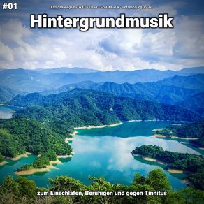 Download track Hintergrundmusik Pt. 85 Entspannungsmusik