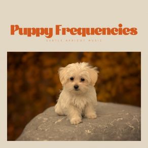 Download track Pup's Preferred Portions Calming Music For Pets