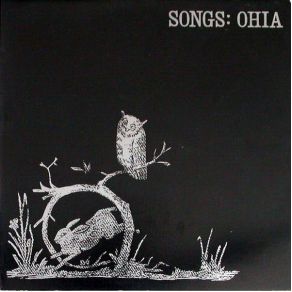 Download track Blue Stone Songs: Ohia