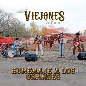 Download track Belleza De Cantina Los Viejones De Linares