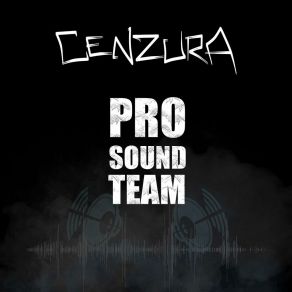 Download track Pro Sound Team (30-32Hz) Cenzura