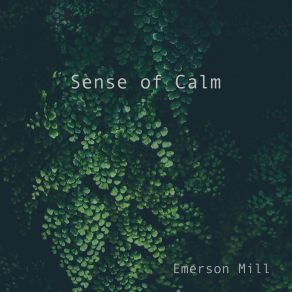 Download track Sense Of Calm Emerson Mill