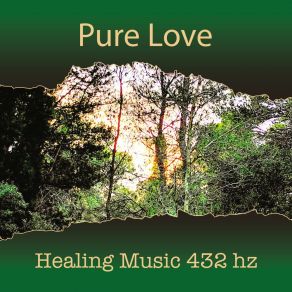 Download track La NaturVita Healing Music 432hz