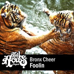 Download track Foolin (Piers Kirwan Remix) Bronx Cheer