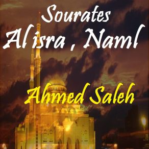 Download track Sourate Naml, Pt. 2 (Quran) Ahmed Saleh