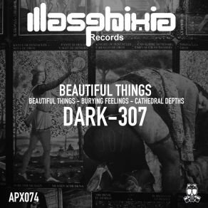 Download track Beautiful Things (Original Mix) Dark-307