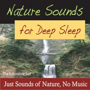 Download track Wilderness Stream (Deep Sleep White Noise) The Kokorebee SunThe White Noise, Deep Sleep