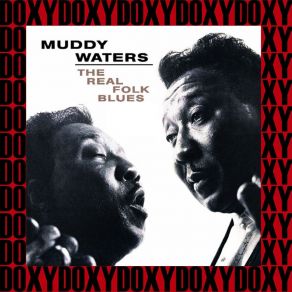 Download track Walking Thru The Park Muddy Waters