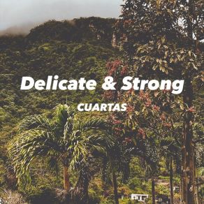 Download track Resistencia Cuartas