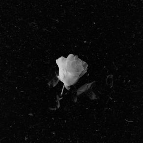 Download track Diagnosed (Rose.) EveZThe Rose