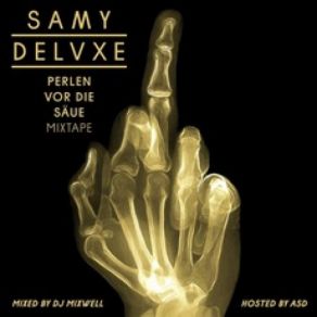 Download track Story To Tell Samy Deluxe