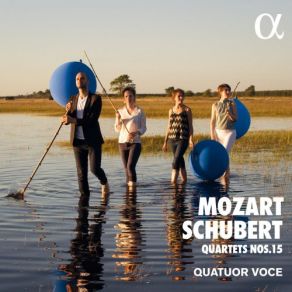 Download track String Quartet No. 15 In D Minor, K. 421 417b III. Menuetto And Trio (Allegretto) Quatuor Voce