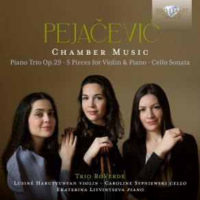 Download track Menuett, Op. 18 Ekaterina Litvintseva, Lusiné Harutyunyan, Trio RoVerde, Caroline Sypniewski