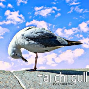 Download track Tai Chi Gull Zane Hrynewich