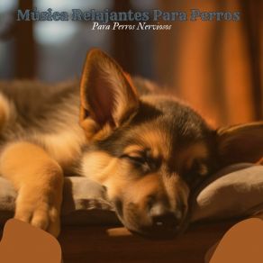 Download track Serenidad Canina Sebastián Melodías Relajantes