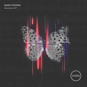 Download track Optical (Original Mix) Danny Fontana