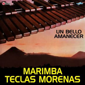 Download track Por Tus Ojitos Marimba Teclas Morenas