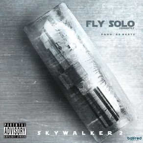 Download track Noun Fly Solo