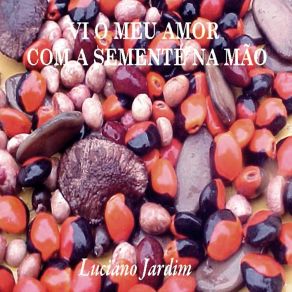 Download track Canção Para Um Violeiro Luciano Jardim