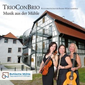 Download track Grand Trio Concertant, Op. 30 II. Tema (Andante Grazioso) E 6 Variazioni' TrioConBrio