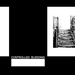 Download track Rhythm To Body Bag Controlled Bleeding