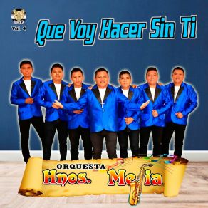 Download track Yo No Soy De Aqui Orquesta Hnos Mejia