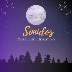 Download track Tranquilidad En La Oscuridad Fernando Melodías Del Descanso