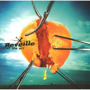 Download track Inside Out (Can You Feel Me Now Mix)  Reveille