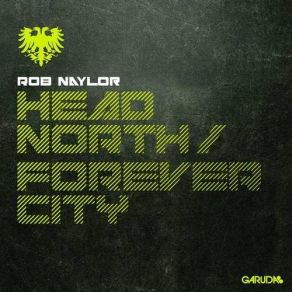 Download track Head North (Original Mix) Rob Naylor