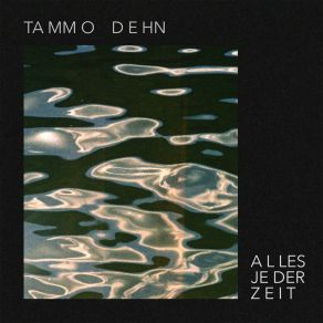 Download track Teil Des Verständnis Tammo Dehn