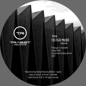 Download track 2020 (Original Mix) Pulso