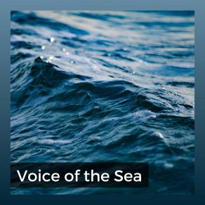 Download track Boundless Patience Of The Sea Wave Sound Group