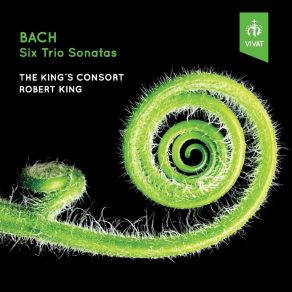 Download track Trio Sonata In C Major, After BWV 529 – Largo The King'S Consort, Robert King, Eligio Quinteiro, Debretzeni Kati, Robin Michael, Huw Daniel