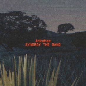 Download track Waqt Synergy The Band