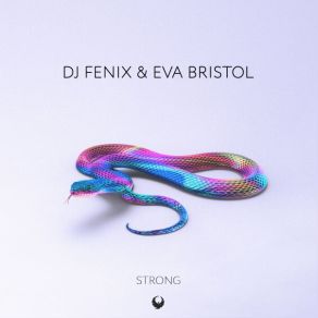 Download track Strong DJ FenixEva Bristol