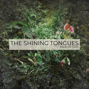 Download track Humming / Dissolving The Shining Tongues