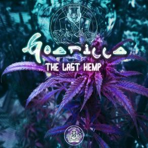 Download track Sativa Reqmeq