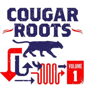 Download track Roll In My Sweet Baby's Arms Cougar Roots