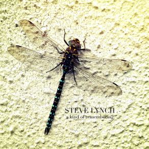 Download track The Daydreamer Steve Lynch