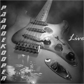 Download track You _ Ve Given Me The Blues (Live) Paardekooper