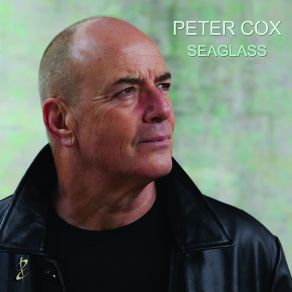 Download track Things We Never Did Peter Cox