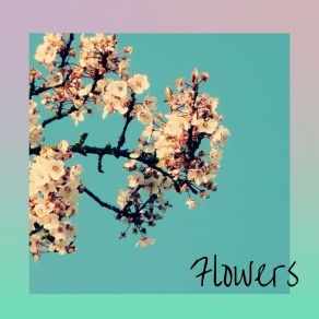 Download track Flowers Taxyyal